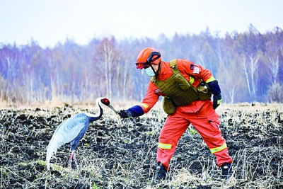 立法治根基 护湿地之美——聚焦湿地保护法正式实施