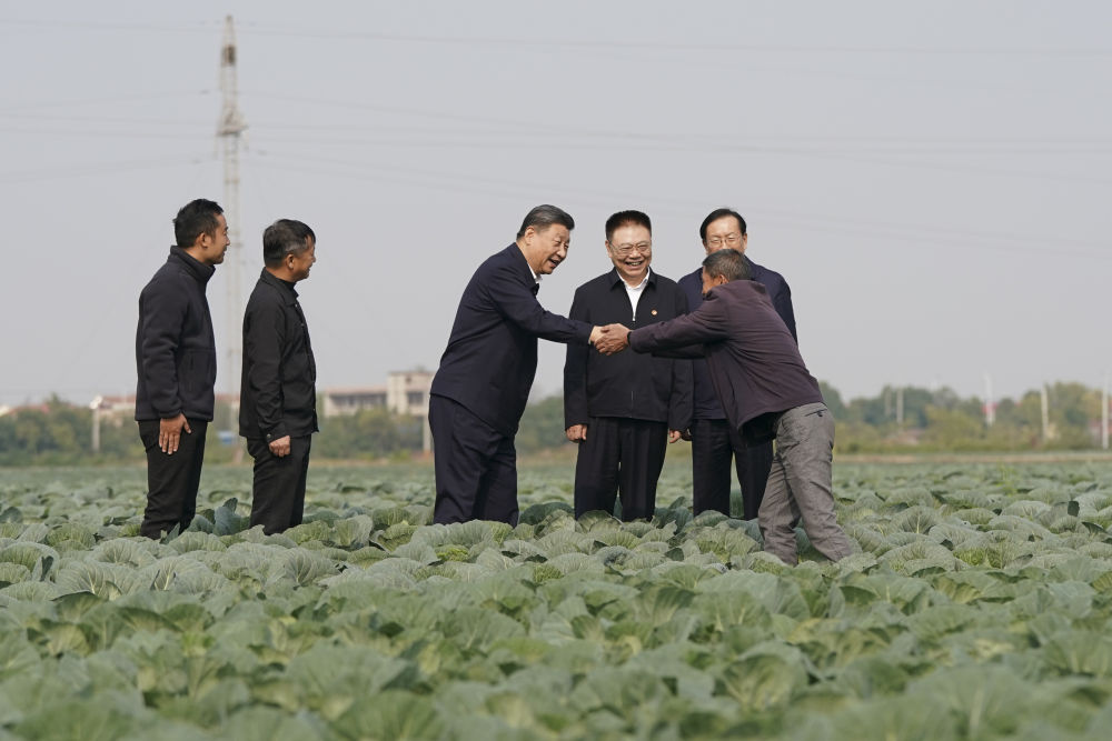 2024年11月5日，习近平在咸宁市嘉鱼县潘家湾镇十里蔬菜长廊考察时，同菜农亲切交流。