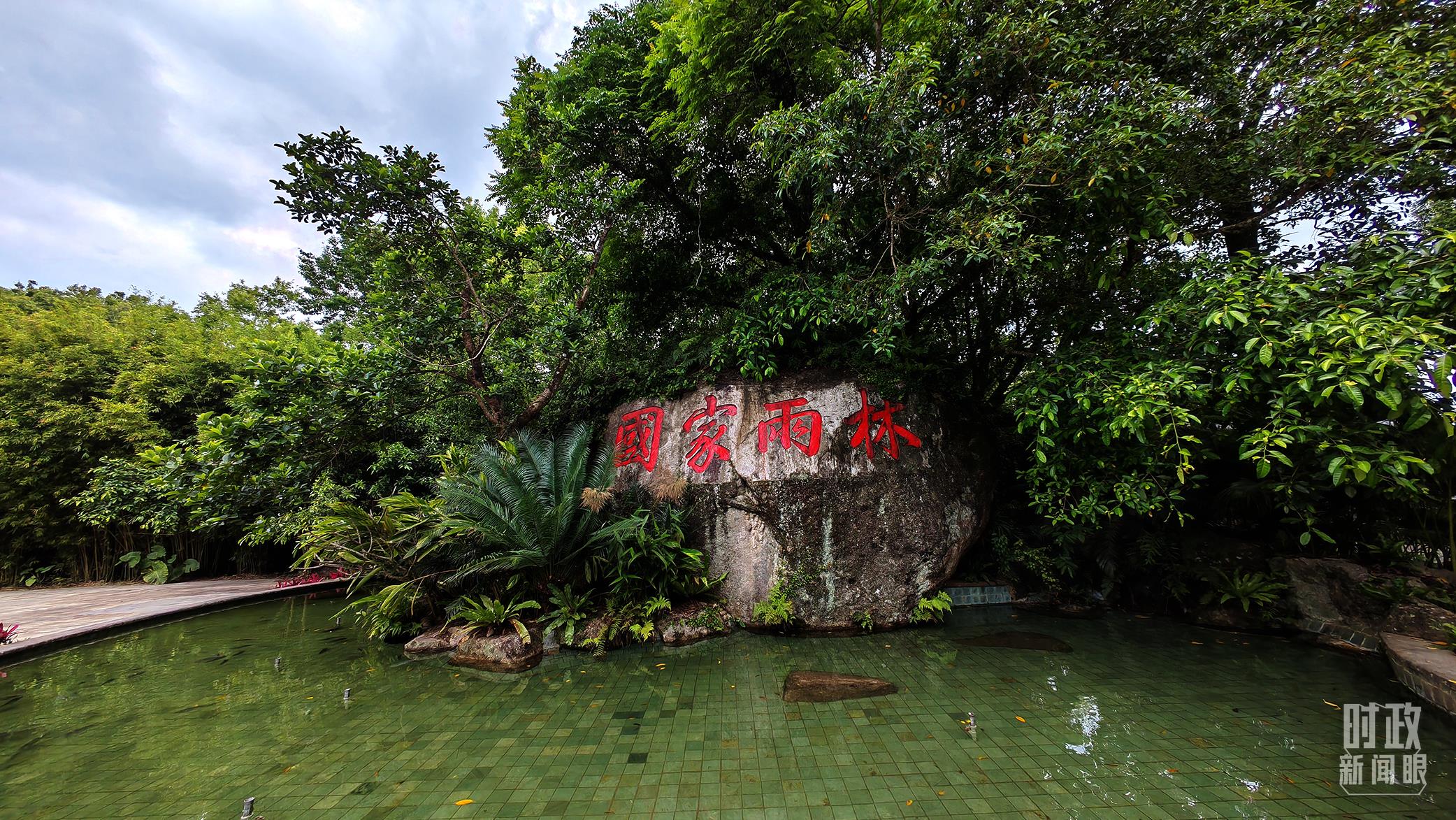 海南热带雨林国家公园。（总台央视记者彭汉明拍摄）