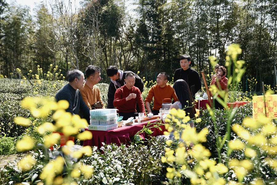 茶园里，人们围桌而坐品鉴小白茶。吴大灼摄