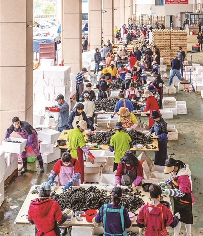 野湾水产海参交易中心，集交易、分拣、冷藏、物流等于一体，现场人头攒动。