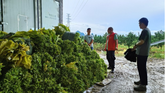 广西贺州烟草：乡村振兴路，驻村工作队勇前行